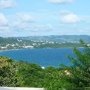 Coeur Sur La Main , Le Diamant Martinique